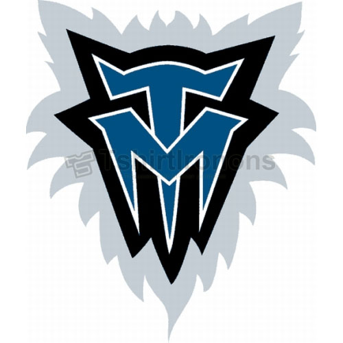 Minnesota Timberwolves T-shirts Iron On Transfers N1096